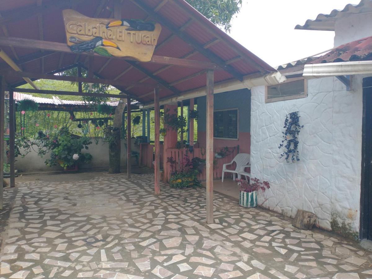 Cabana El Tucan Minca Eksteriør billede