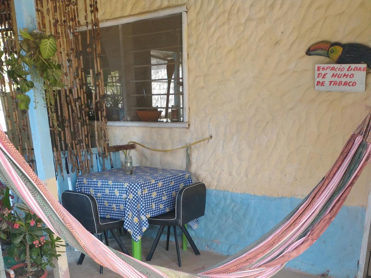 Cabana El Tucan Minca Eksteriør billede
